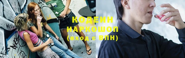 молекула духа Гусиноозёрск