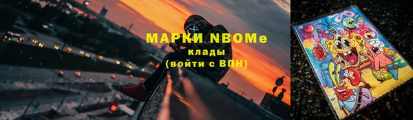 молекула духа Гусиноозёрск