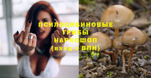 mix Гусь-Хрустальный