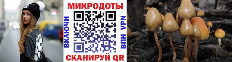 Купить где  Калач-на-Дону  Галлюциногенные грибы Psilocybe 